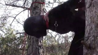 Public sex into the wood. Wearing Bombshell clothes and high heels, tied, throated and banged