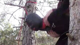 Public sex into the wood. Wearing Bombshell clothes and high heels, tied, throated and banged