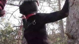Bound to a tree on a beauty outfit, masked and outdoors deep throat with no mercy