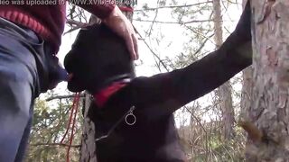 Bound to a tree on a beauty outfit, masked and outdoors deep throat with no mercy
