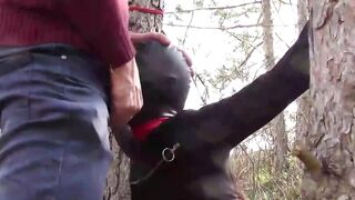 Bound to a tree on a beauty outfit, masked and outdoors deep throat with no mercy