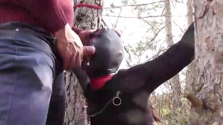 Bound to a tree on a beauty outfit, masked and outdoors deep throat with no mercy