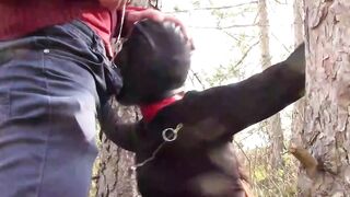 Bound to a tree on a beauty outfit, masked and outdoors deep throat with no mercy