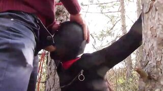Bound to a tree on a beauty outfit, masked and outdoors deep throat with no mercy