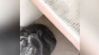 OUTSIDE QUICKIE SEX inside Rooftop to my Mexican Teenagers Neighbors, She’s a beauty College cunt with mouth Washing the Clothes!