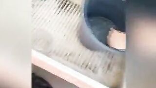OUTSIDE QUICKIE SEX inside Rooftop to my Mexican Teenagers Neighbors, She’s a beauty College cunt with mouth Washing the Clothes!