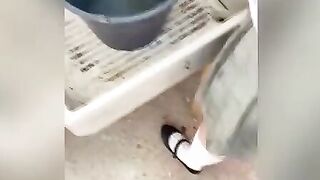 OUTSIDE QUICKIE SEX inside Rooftop to my Mexican Teenagers Neighbors, She’s a beauty College cunt with mouth Washing the Clothes!
