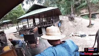 Elephant rides inside Thailand with teenie lovers who had sex afterwards