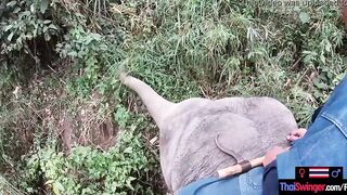 Elephant rides inside Thailand with teenie lovers who had sex afterwards
