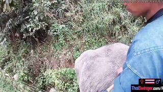 Elephant rides inside Thailand with teenie lovers who had sex afterwards