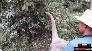 Elephant rides inside Thailand with teenie lovers who had sex afterwards