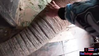 Elephant rides inside Thailand with teenie lovers who had sex afterwards