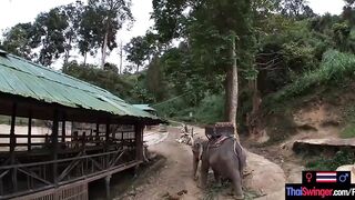 Elephant rides inside Thailand with teenie lovers who had sex afterwards