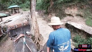 Elephant rides inside Thailand with teenie lovers who had sex afterwards