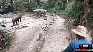 Elephant rides inside Thailand with teenie lovers who had sex afterwards
