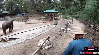 Elephant rides inside Thailand with teenie lovers who had sex afterwards