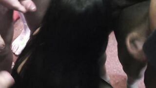 Dark haired beauty plays with giant cocks in a blowbang show