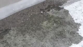 Naughty Japanese babes have no problems peeing in public