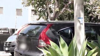 Good looking stepson takes dads fat cock up the ass deep