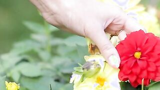 Karina Grand enjoys a sexual makeout session with Kristof Cale in the scenic backdrop of her patio garden, but the