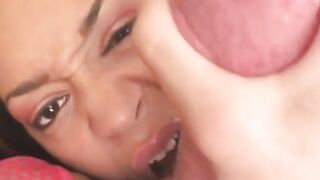 ebony hottie sucks a big white cock