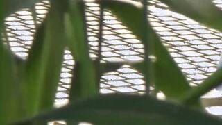 Two girls get caught pissing and filming each other outside