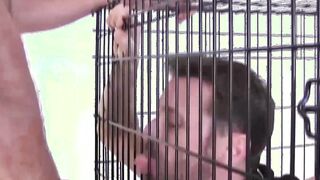 Horny homo Landon Kovak raw ramming delicious Sean Storm