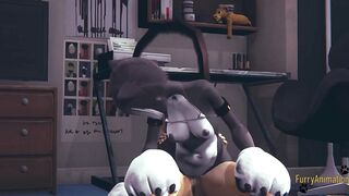 Furry Animated - pov Fox x Kittycat bj and screwed