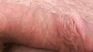 Naughty bear tugging cock and fiddling asshole solo
