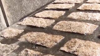 Japanese women secretly taped while pissing hard