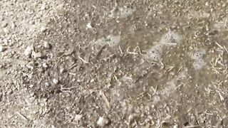 Japanese women secretly taped while pissing hard