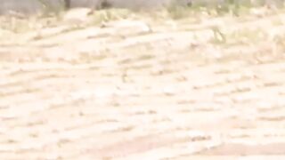 Japanese women secretly taped while pissing hard
