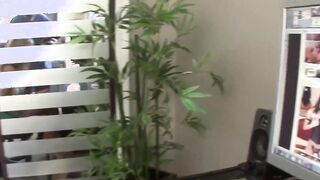 Blondie Madelyn Monroe pussy getting banged by daddys cock