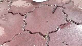 Japanese cuties take panties off to pee in hidden places Hoe 2