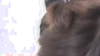 Japanese cuties need to pee hard while being filmed