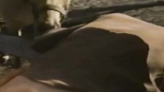 Stud with mustache sucks his man and drills him raw
