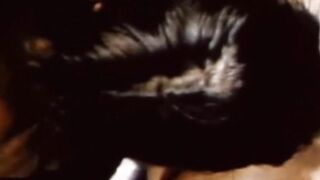 Real men enjoy interracial bareback in classic porn video
