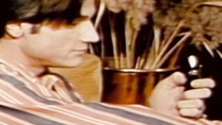Classic gay porn with masculine men in sixtynine position