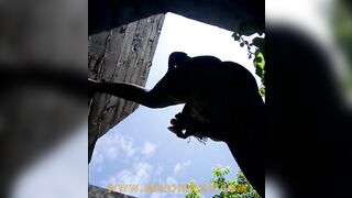 Dildoing to the sky