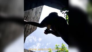 Dildoing to the sky