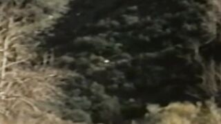 Studs cock sucking and bare banging by the river