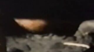 Studs cock sucking and bare banging by the river