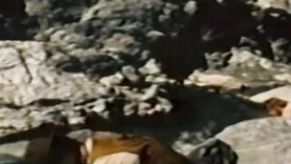 Studs cock sucking and bare banging by the river