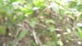 Japanese babes get their panties filmed by voyeur