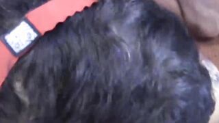 Dickriding anal action with four dudes with twinks and jocks