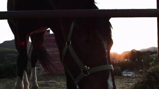 Big cock bf fucks blonde girlfriend on a ranch