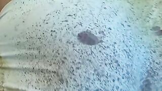 Twinkie wanks and washes his dirty undies in the shower