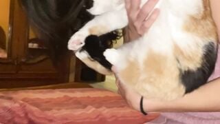 Late Night Banging Into Bed - Sofia Bresciani & Luca Besciani