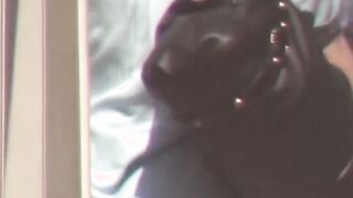 Japanese amateur babes taped upskirt by voyeur