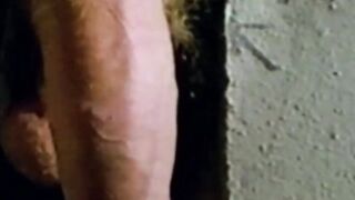 Classic gay stud shows his deepthroating skills in toilet